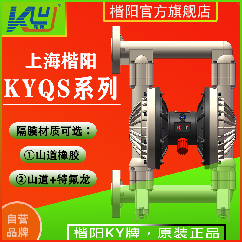 KYQS80LF全氟PVDF氣動(dòng)隔膜泵4