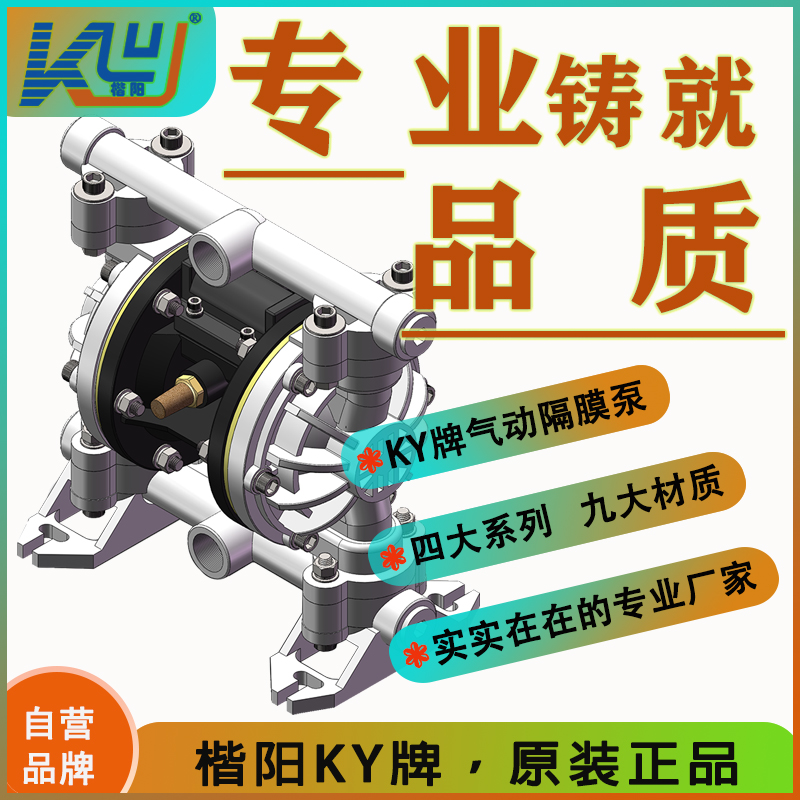 KY-20SS塑料氣動(dòng)隔膜泵4