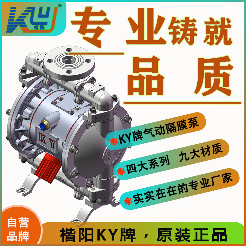 KYQ25L4不銹鋼氣動隔膜泵4