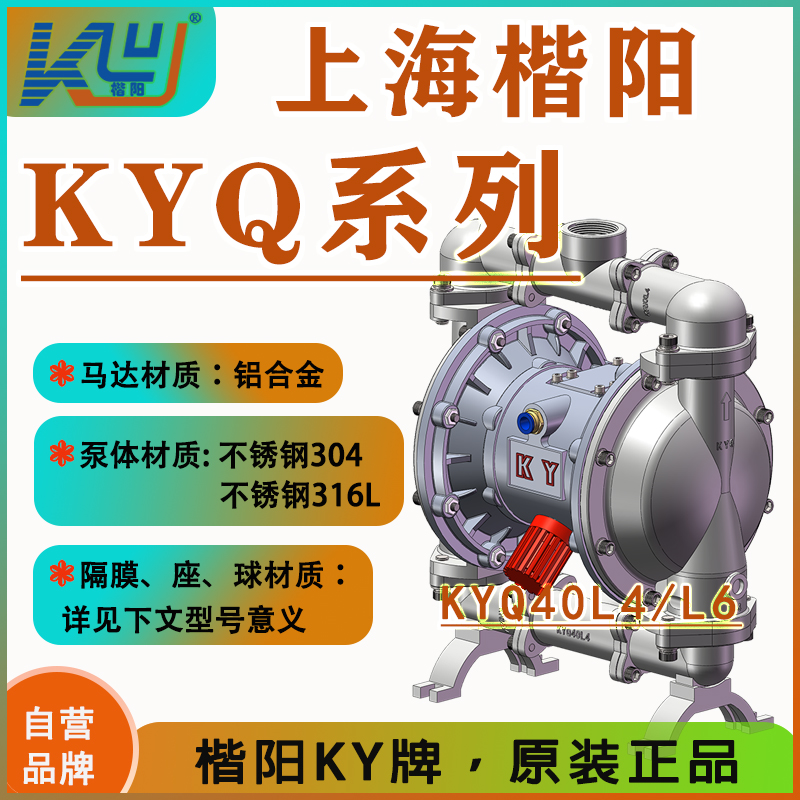 KYQ40L4不銹鋼氣動(dòng)隔膜泵3