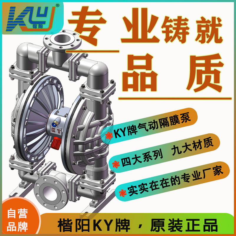 KYQ實用款-鋼襯氟氣動隔膜泵6